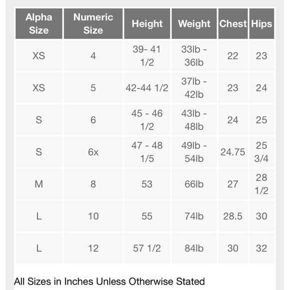 WICKED X GIRLS ELPHABA DRESS - GREEN SIZES XS & L (NEW WITH TAGS) - Picture 4 of 4